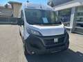 Fiat Ducato 35 L2H2 140 netto € 29.150,- Bílá - thumbnail 6