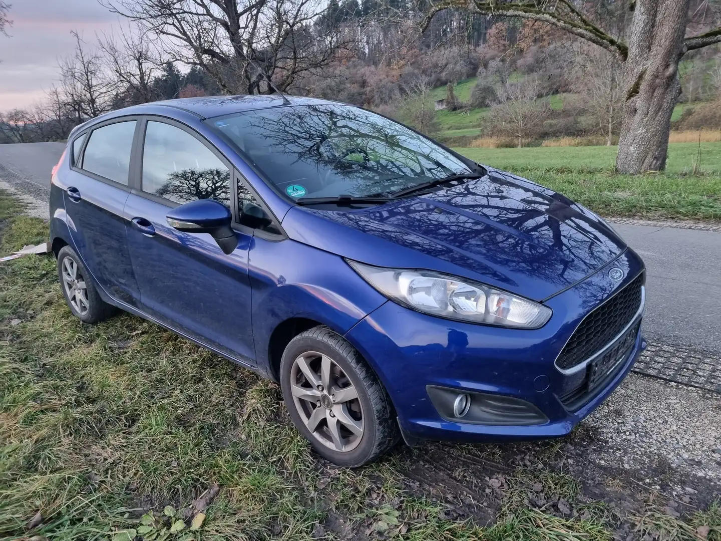 Ford Fiesta Celebration SHZ - 1