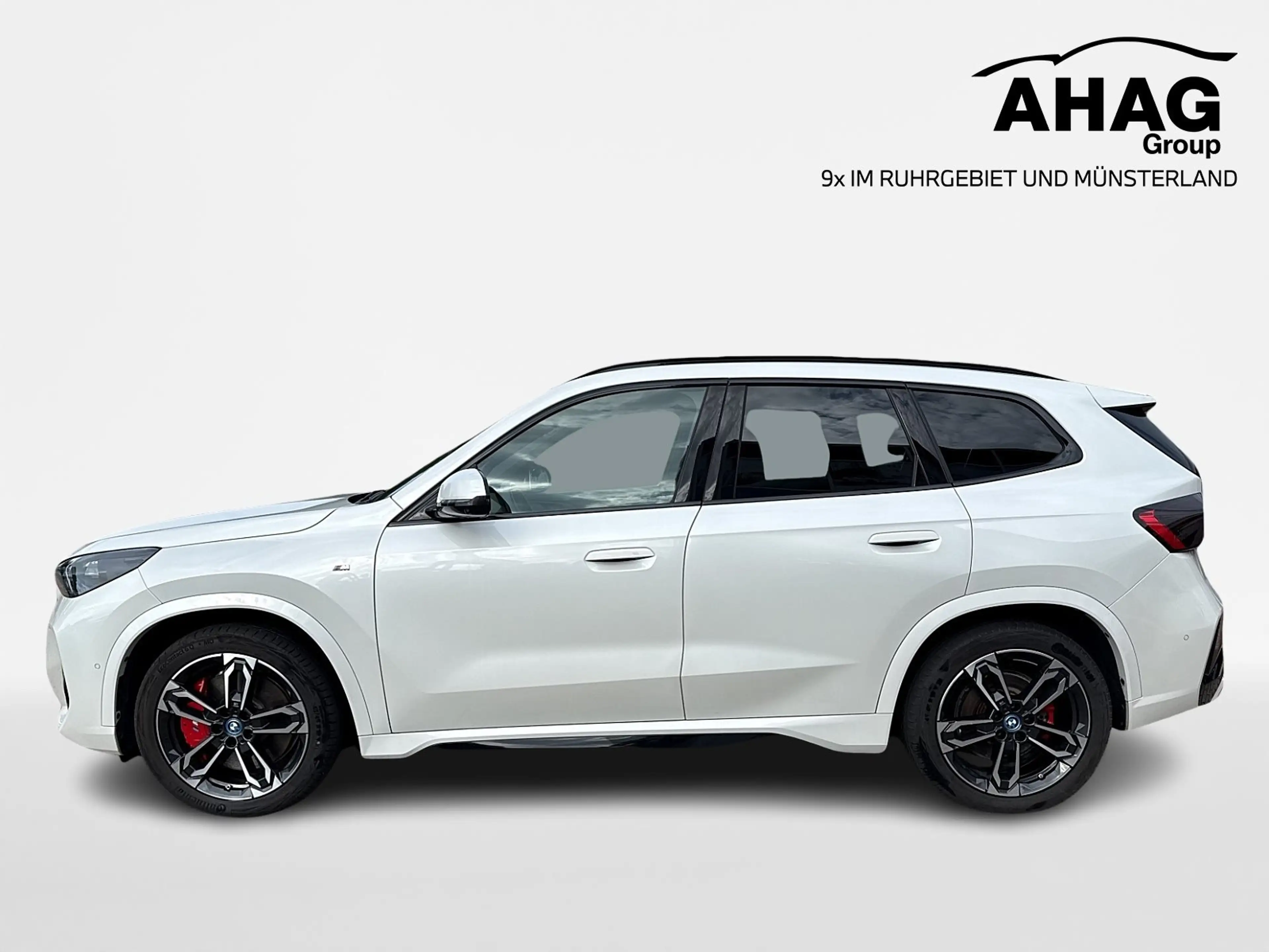 BMW iX1 xDrive30 M Sport Pro Head-Up 360° adapt.Fahrwerk L — photo 6