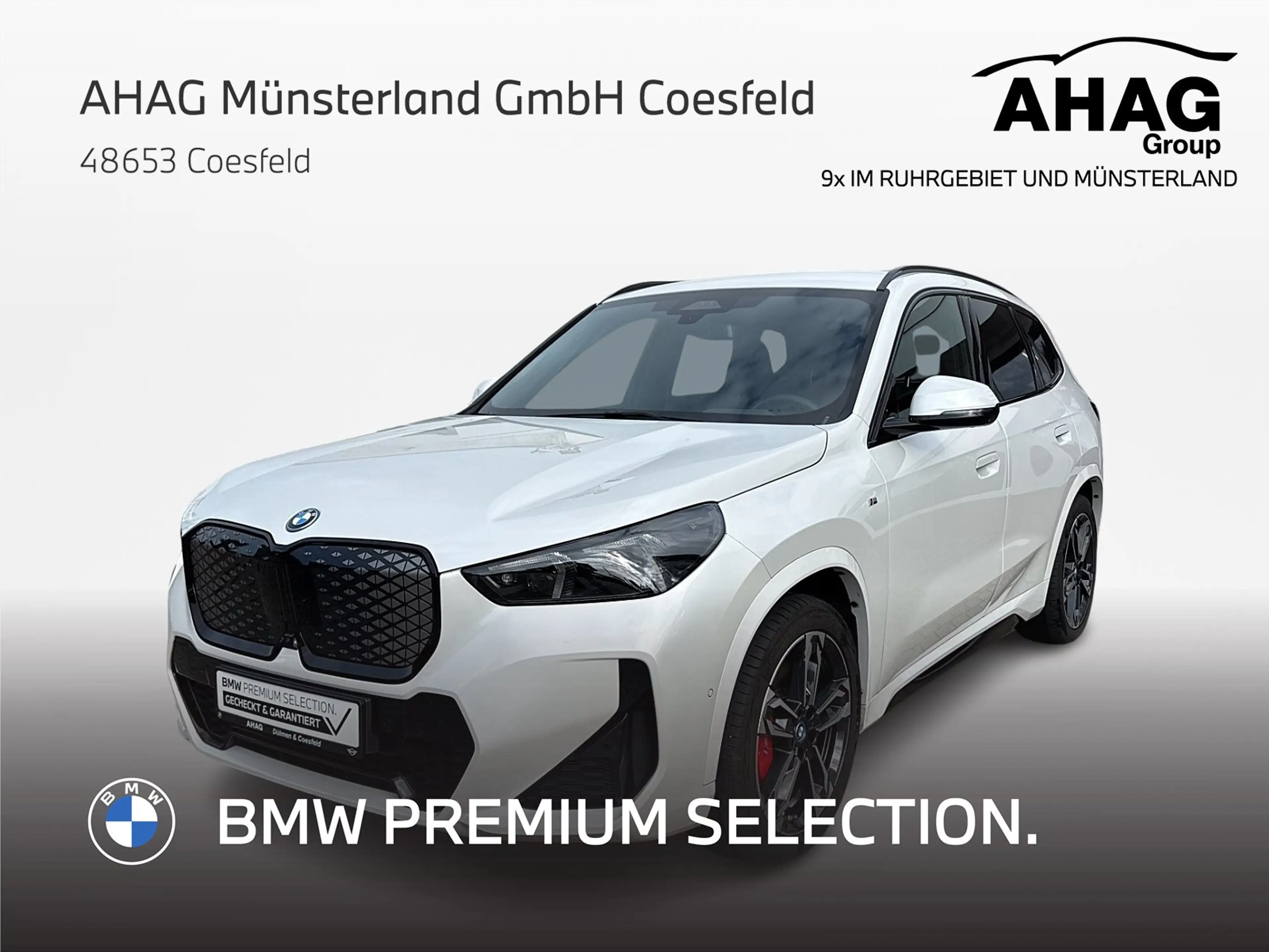 BMW iX1 xDrive30 M Sport Pro Head-Up 360° adapt.Fahrwerk L