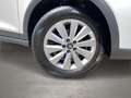 SEAT Arona Style 1.0 TSI BEATS Soundsystem Weiß - thumbnail 6