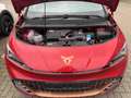 CUPRA Born 204PS/62kWh WÄRMEPUMPE+SHZ+19 Zoll FELGEN Klima Rouge - thumbnail 12
