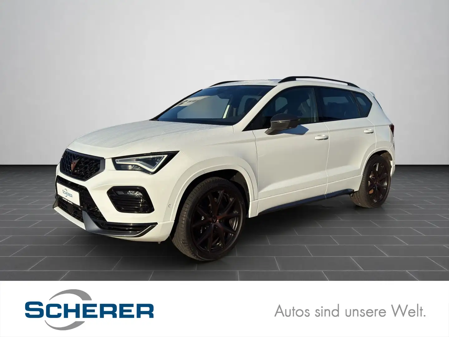 CUPRA Ateca 2.0 TSI DSG 4Drive Pano ACC Navi Beats SHZ Weiß - 1