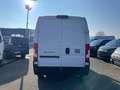 Fiat Ducato KW33 L2H2 140 Weiß - thumbnail 4