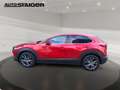Mazda CX-30 2.0 SKYACTIV-X M Selection 360 FLA HUD LM Rot - thumbnail 10