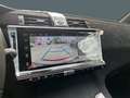 DS Automobiles DS 7 UPE: 51.455€ ACC Navi 360-Kamera Marix-LED Apple C Schwarz - thumbnail 15