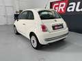 Fiat 500 500 1.2 by Gucci - thumbnail 7