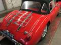 MG TD 1250 CABRIOLET, BODY OFF GERESTAUREERD IN ZÉÉR GOE Rot - thumbnail 47