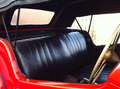 MG TD 1250 CABRIOLET, BODY OFF GERESTAUREERD IN ZÉÉR GOE Rot - thumbnail 15