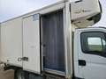 Iveco 70c17 Daily Weiß - thumbnail 14