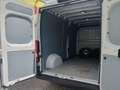 Fiat Ducato L3/H2 Maxi NETTO 14.990.- Ohne Anzahlung 399.-/M. Weiß - thumbnail 6