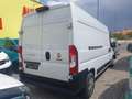 Fiat Ducato L3/H2 Maxi NETTO 14.990.- Ohne Anzahlung 399.-/M. Weiß - thumbnail 5