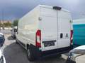 Fiat Ducato L3/H2 Maxi NETTO 14.990.- Ohne Anzahlung 399.-/M. Weiß - thumbnail 4