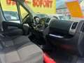 Fiat Ducato L3/H2 Maxi NETTO 14.990.- Ohne Anzahlung 399.-/M. Weiß - thumbnail 7