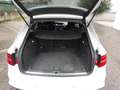 Audi A4 A4 Avant 2.0 tdi Business 150cv multitronic E5 Bianco - thumbnail 6
