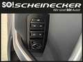 Kia Ceed SW / cee'd SW ceed SW 1,0 T-GDI GPF ISG Titan Blanc - thumbnail 11
