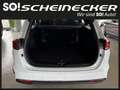 Kia Ceed SW / cee'd SW ceed SW 1,0 T-GDI GPF ISG Titan Blanc - thumbnail 6