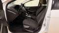 Ford Focus Easy 1,0 EcoBoost Weiß - thumbnail 16