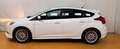 Ford Focus Easy 1,0 EcoBoost Weiß - thumbnail 6