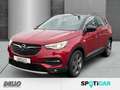 Opel Grandland X Business Elegance PHEV belüftete Ledersitze Navi e Rot - thumbnail 1