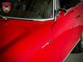 Overig GLAS GT 1700 Cabriolet Rood - thumbnail 25