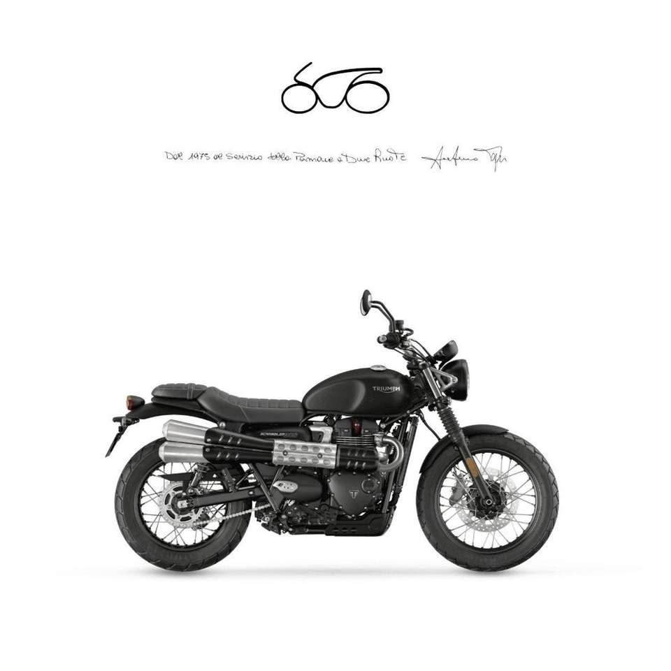 Triumph Scrambler Scrambler 900