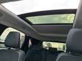 Ford Kuga Active X PHEV Glaß Dach Winter Paket 20Zoll Grün - thumbnail 19