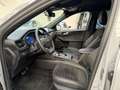 Ford Kuga EcoBlue Graphite Tech ST-Line X Gris - thumbnail 11
