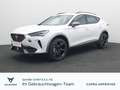CUPRA Formentor 2.0TDI 4Drive DSG / Pano, Matrix, 360° Blanco - thumbnail 1
