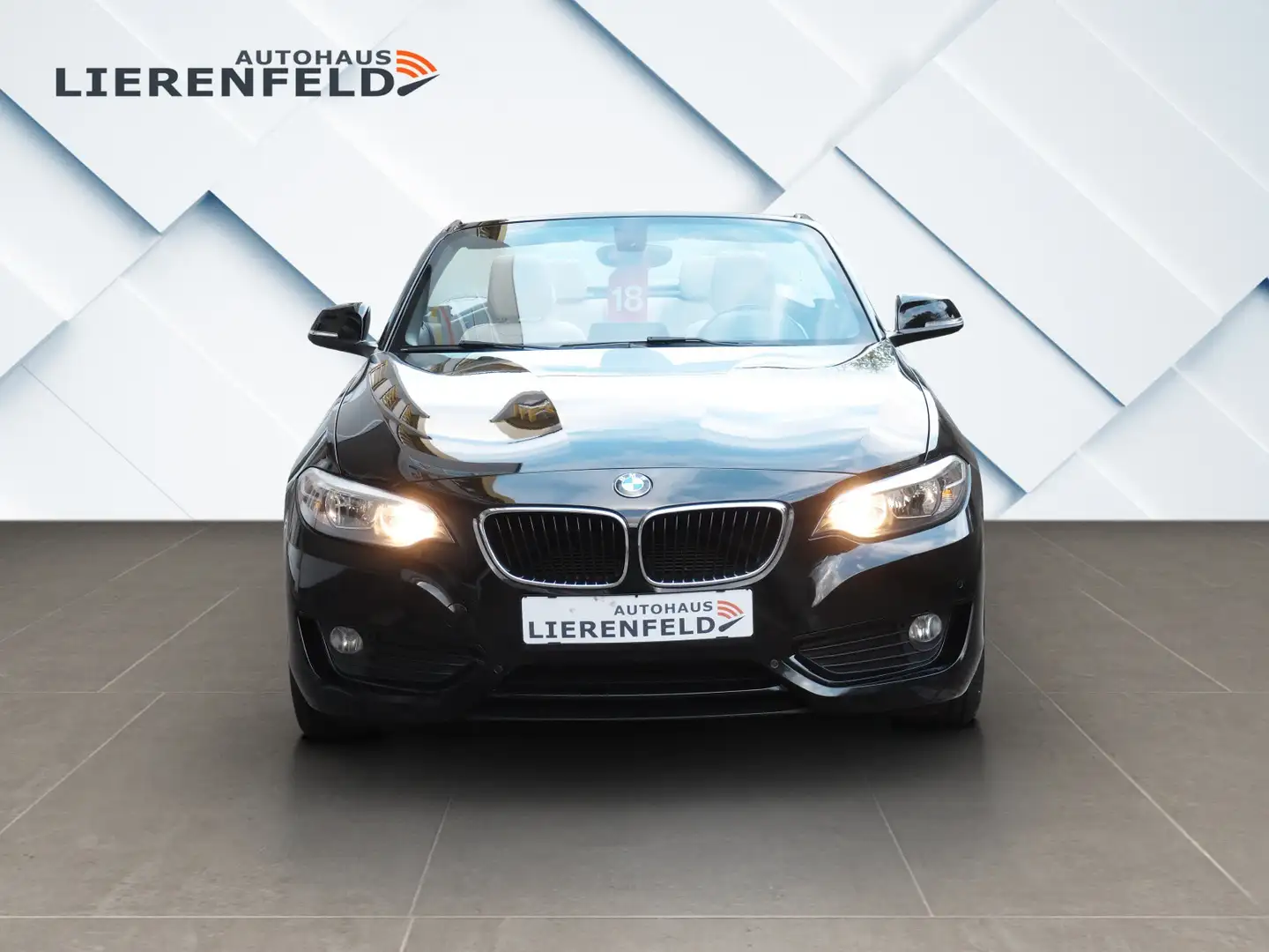 BMW 218 i Cabrio Leder Navi MWST Schwarz - 2