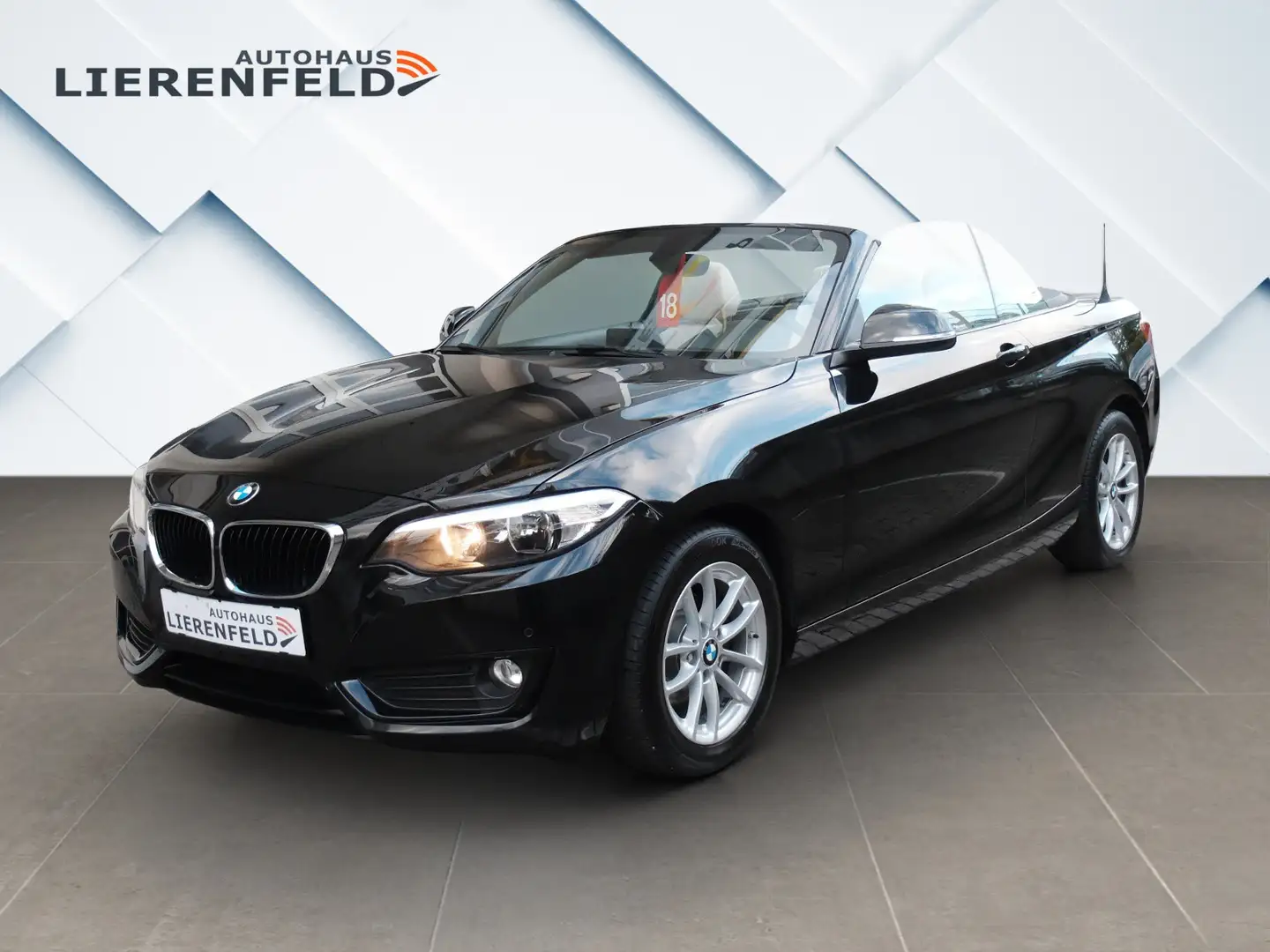 BMW 218 i Cabrio Leder Navi MWST Schwarz - 1