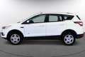 Ford Kuga 2.0 TDCI 110KW TREND+ 4WD 5P Blanc - thumbnail 7