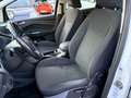 Ford C-Max 1.6 120CV GPL Bianco - thumbnail 5