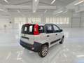 Fiat Panda 900cc 85Cv Van Eu6d 4X4 2p.POP 5 PORTE AUTOCARRO - thumbnail 4