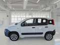 Fiat Panda 900cc 85Cv Van Eu6d 4X4 2p.POP 5 PORTE AUTOCARRO - thumbnail 5