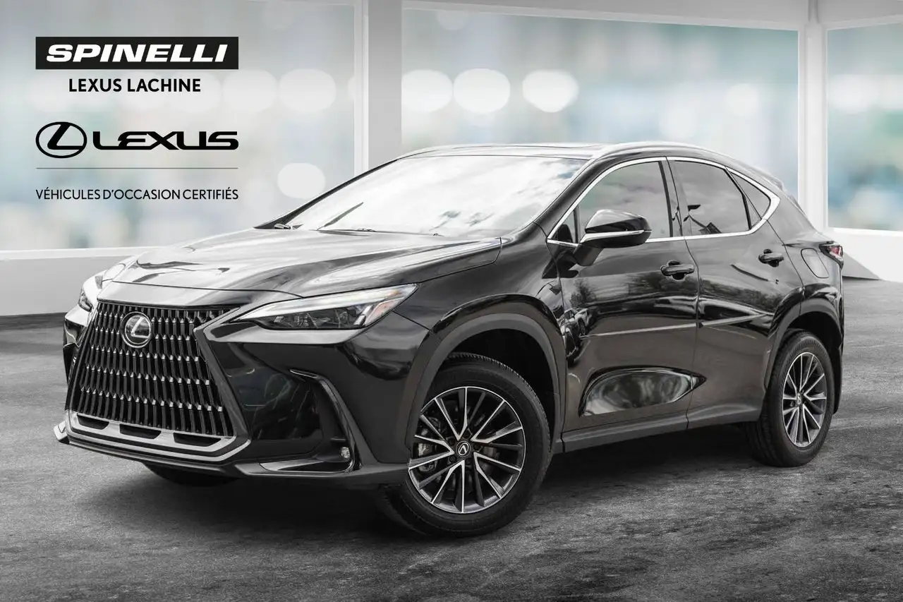 2025 Lexus NX