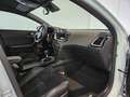 Kia ProCeed / pro_cee'd 1.0 T-GDi GT-PlusLine / Camera / NL Auto Blanc - thumbnail 12