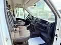 Citroen Jumper 2.0 BlueHDi L2H2 2 portes latéral  14 200 htva Blanc - thumbnail 14