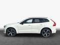 Volvo XC60 XC60 T6 AWD Recharge Geartronic RDesign Weiß - thumbnail 4
