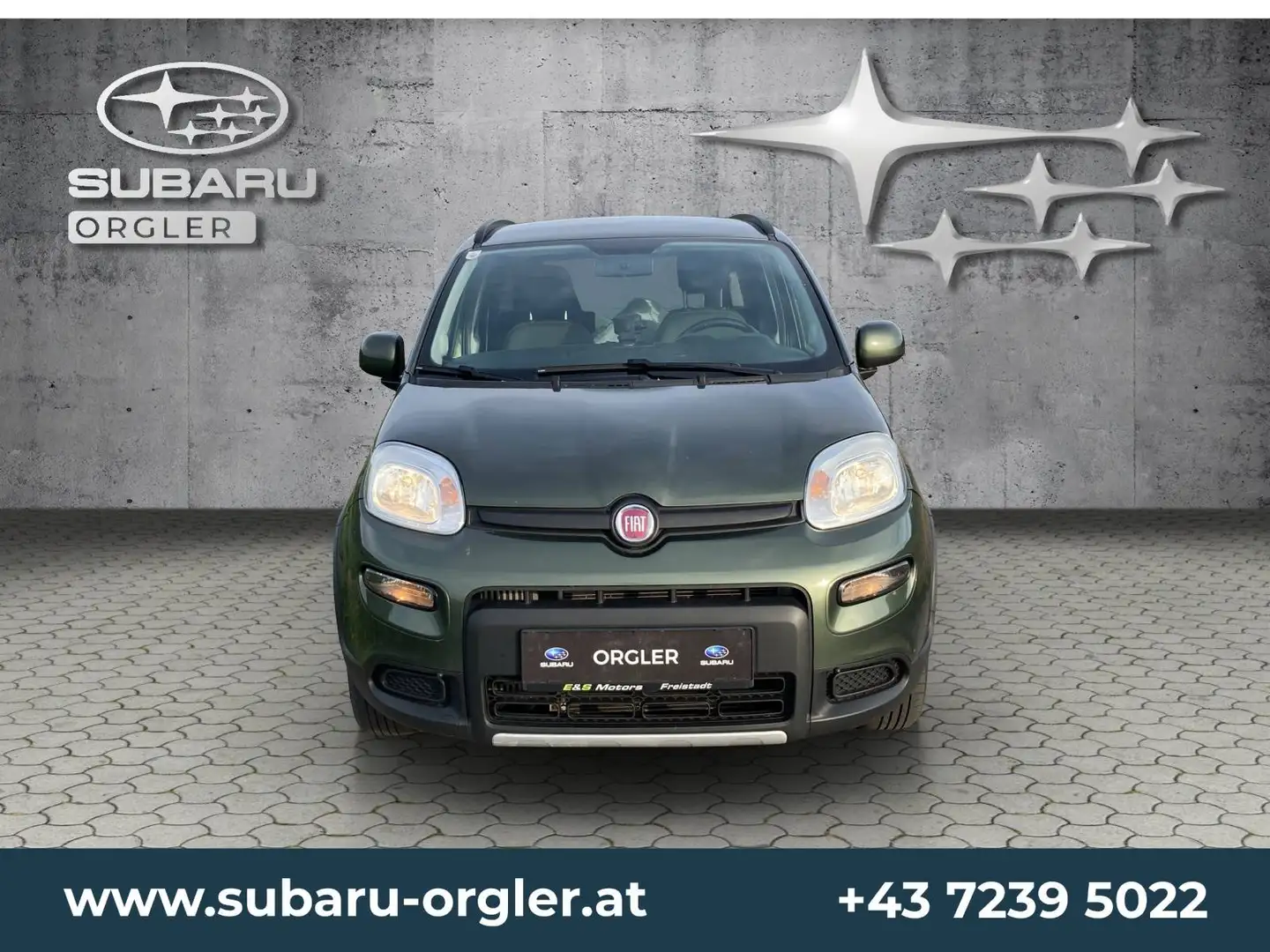 Fiat Panda 1,3 MultiJet II 95 4x4 Wild Grün - 2