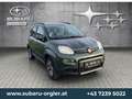 Fiat Panda 1,3 MultiJet II 95 4x4 Wild Grün - thumbnail 3