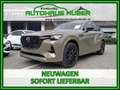 Mazda CX-60 3.3L e-SKYACTIV D 254ps 8AT AWD HOMURA COSO BLOP Beige - thumbnail 9