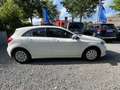 Mercedes-Benz A 180 CDI BE Business PDC Aut. Tempo Navi Sitzh. Blanco - thumbnail 4