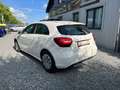 Mercedes-Benz A 180 CDI BE Business PDC Aut. Tempo Navi Sitzh. Blanco - thumbnail 7