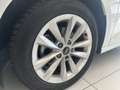 Audi A3 SPB 30 1.0 TFSI S tronic MHEV 110CV Bianco - thumbnail 10