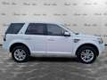 Land Rover Freelander Freelander 2.2 TD4 S.W. SE Blanc - thumbnail 4