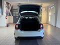 Fiat 500X 500 X 2018 1.3 mjt Urban 4x2 95cv my20 Wit - thumbnail 9