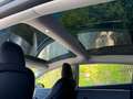 Tesla Model 3 Model 3 Standard Range RWD Premium 60kWh RWD Premium Grau - thumbnail 12