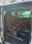 Volkswagen T6 Multivan Multivan Edition 2,0 TDI 4Motion DSG Edition Weiß - thumbnail 7