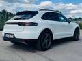 Porsche Macan Macan PDK Weiß - thumbnail 6